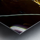 LLF 0588 Metal print