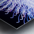 LLF 0595 Metal print