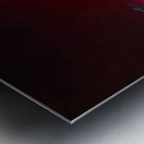 LLF 0607 Metal print