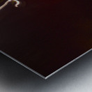 LLF 0590 Metal print