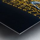 LLF 0509 Metal print