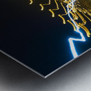 LLF 0507 Metal print