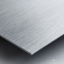 Pheasant 3 Metal print