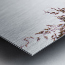 Pheasant 1 Metal print