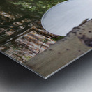 Rustic Toilet 2 Metal print