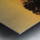 Grassland Sunrise 2 Metal print