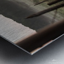 Foggy Fenceline Metal print