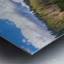 Sunny Park Metal print