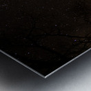 Starlit Tent Metal print