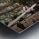 Rustic Toilet Metal print