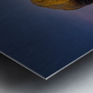 Strength of the Wichitas Metal print