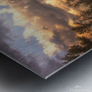 McDonald Creek Metal print