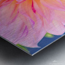 Dahlia Pink Ice Metal print