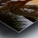 540B8F4D 0DE4 4F80 BA41 8EB8AD8AA69A Metal print