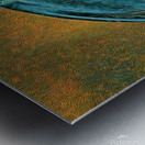 B0DA0138 B547 4FD9 AA27 AE0ABD736A53 Metal print