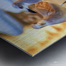 903C4DE2 0DC8 405B BF55 EDD4E0CD6FF2 Metal print