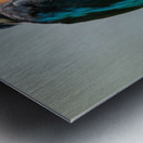 01D5FC34 4178 44F6 8EB1 A4CCE2C8547B Metal print