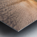 Betsie in Gold Metal print