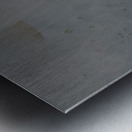 Life Grey II Metal print