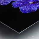 Dramatic Orchids Metal print