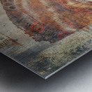 Designer Horse 2 Metal print