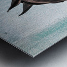 Fancy Horse Metal print