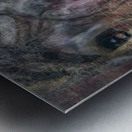 Intimate Horse 2 Metal print