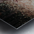 E60A8154 5406 4B68 8874 98C4A4E5B47C Metal print