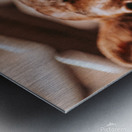 Cute Calf Metal print