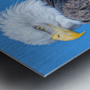 His Majesty Impression metal