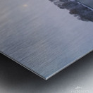  Snow days 7 Metal print