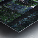 Along the Lake Metal print