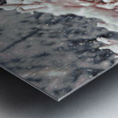 A Snowy Day Metal print