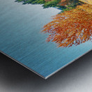 Carson River Metal print