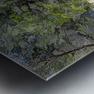 Cedar Grove Oil Painting Metal print