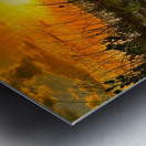 6289408E 001D 431B A222 F59D88C2962D Metal print