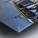 E7EF805B 9CED 4F46 8C2B 53B00D1CB3A5 Metal print