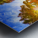 0D0CA5EA EA25 4479 83A6 5E67438A392C Metal print