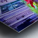 5B6B2994 FCBE 4A5D A84E 7DADB96479B0 Metal print