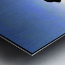 Dog Sunset Metal print