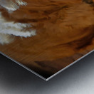 At Days End Metal print