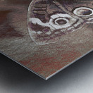 Butterfly Metal print