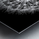 Delicate explosion Metal print
