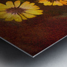 Crazy Daisies Metal print