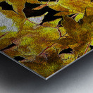 Autumn s Touch Metal print