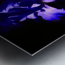 Blue Iris Metal print