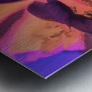 A Touch of Hawaii Metal print