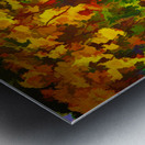 Desert Dream Metal print