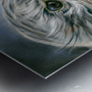 Red Tailed Hawk Metal print