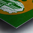 1975 Shreveport Steamer Football Helmet Art Metal print